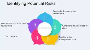 Potential Risks and Criticisms